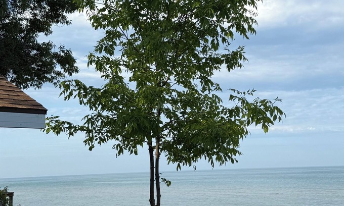 Oscoda Cabin | Captains Quarters Cabin