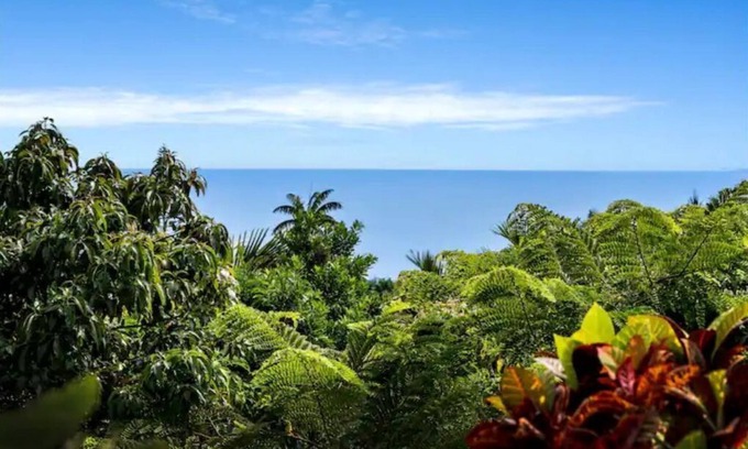 Honaunau-Napoopoo Apartment | Captain Cook Hide Away