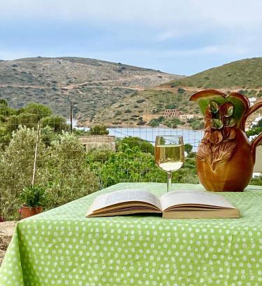 Kalymnos House | Captain's House