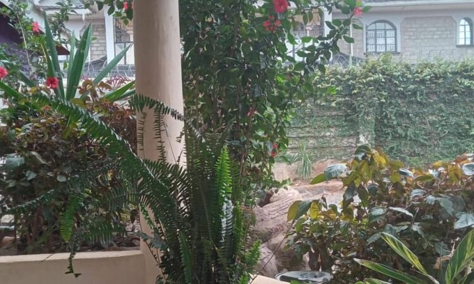 Kitale Apartment | Caren Cottages & Airbnb Kitale