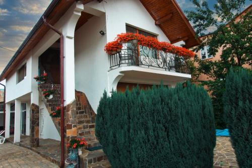 Ocna Sugatag House | Casa Ade
