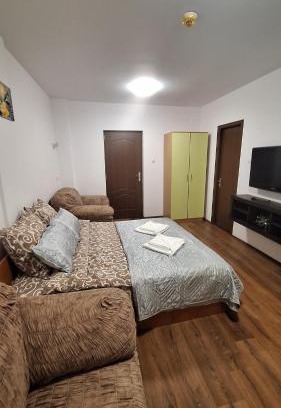 Azuga House | Casa Antonia
