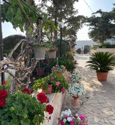 Putignano Apartment | casa Belcolle