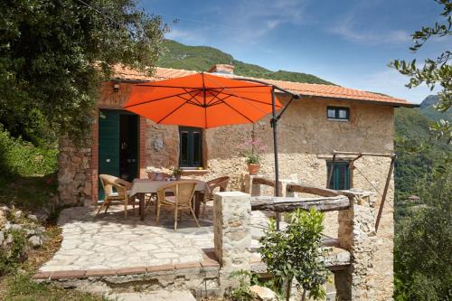 Greppolungo House | Casa Berti - Urlaub im Olivenhain