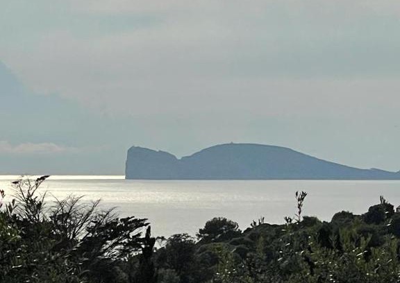 Alghero House | CASA BRIONIS