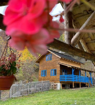 Baile Olanesti Ski Chalet | Casa Brună