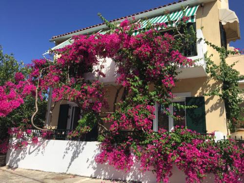 Minia Apartment | Casa Buganvilla