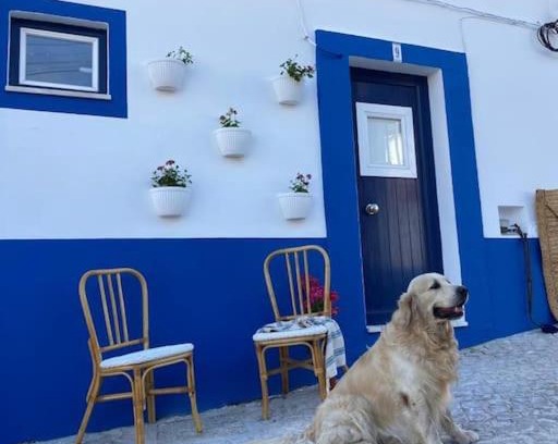 Alcacer do Sal House | Casa Buganvilla