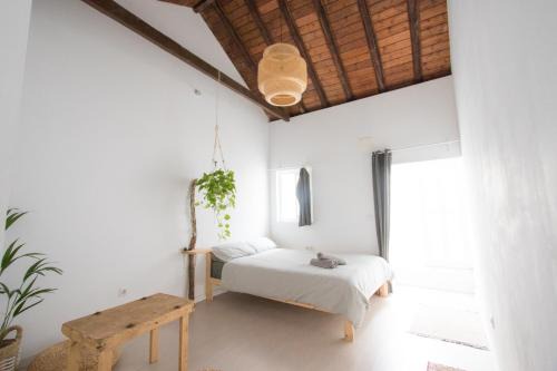 Agaete Hostel | Casa Calma Yoga Hostel