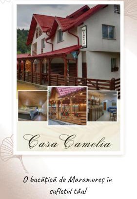 Sacel Hotel | Casa Camelia