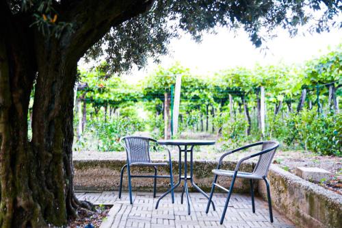 Ortona Apartment | Casa Campli