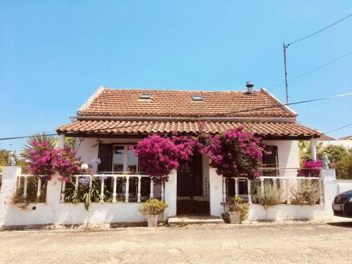 Lourinha House | Casa Cao Verde Charmantes Landhaus mit Garten