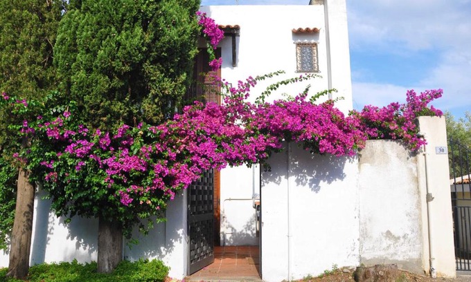 Milazzo Apartment | Casa Capiciana Punta Cirucco
