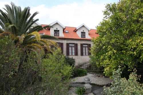 Sao Martinho de Mouros House | Casa Cardoso
