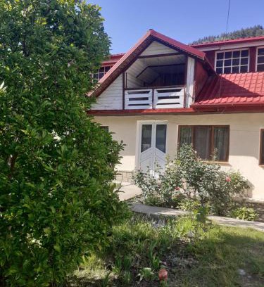 Tirgu Ocna House | Casa Carmen