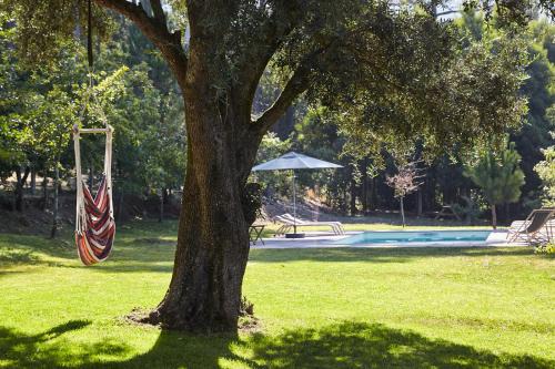 Venade Villa | Casa da Oliveira