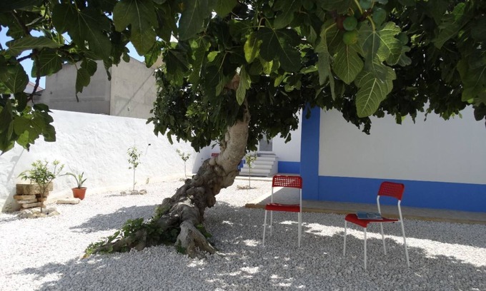 Maceira House | Casa da Figueira