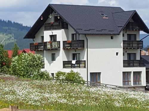 Vatra Dornei House | Casa Dar&And