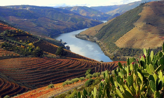 Sabrosa Villa | Casa das Flores, large villa with swimming pool in the Douro Valley