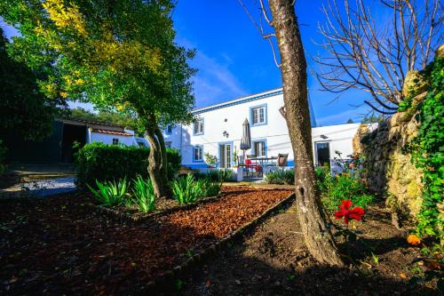 Marvao Bed & Breakfast | Casa das Pedras Country Retreat