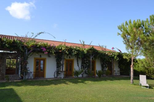 Pedra Arrancada House | Casa de Campo Vale do Asno
