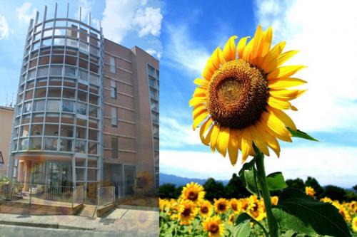 San Sisto Apartment | Casa dei girasoli