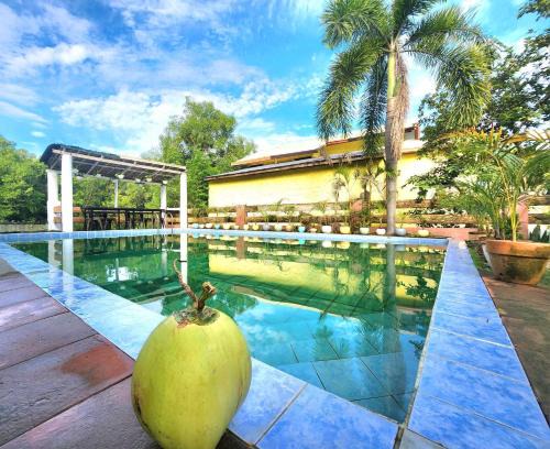 Aringay House | Casa Del Chen - Tranquil Beach Retreat in Aringay