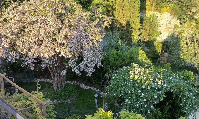 Cesi House | Casa del glicine