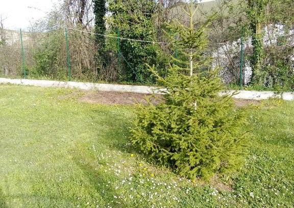 Mioglia Apartment | Casa del Lupo