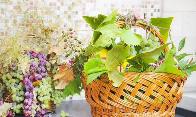 Laconi House | Casa di Agostino/week and/Holidays and long and short stays/Families