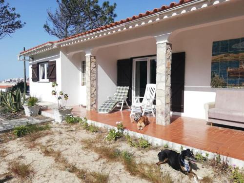 Obidos House | Casa Do Bosque