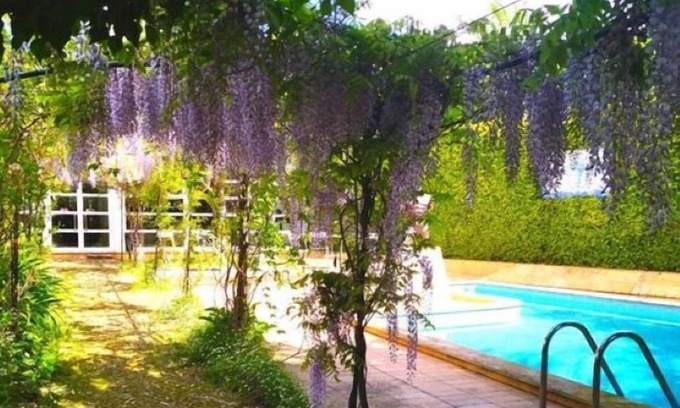 Rio Maior Bed & Breakfast | Casa do Foral