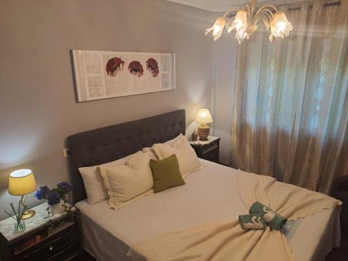 Rianxo House | Casa do Lucio
