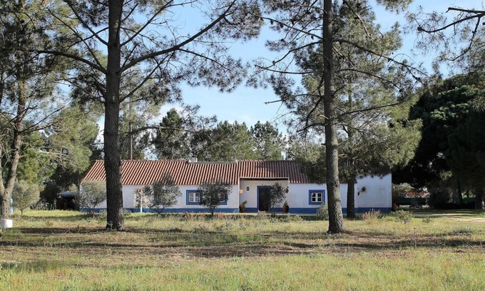 Alcacer do Sal House | Casa do Pinheiro