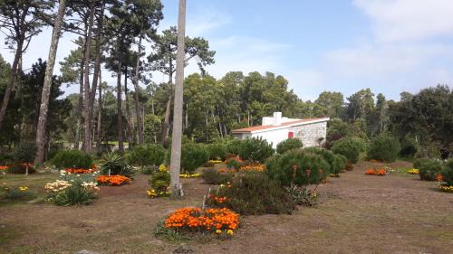 Caminha House | Casa do Sol