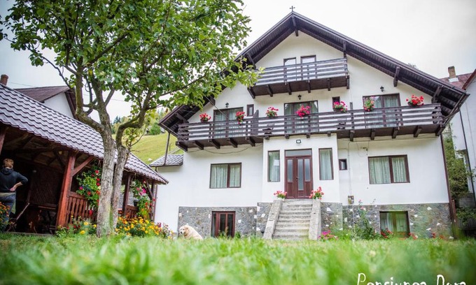 Moeciu de Sus House | Casa Dora
