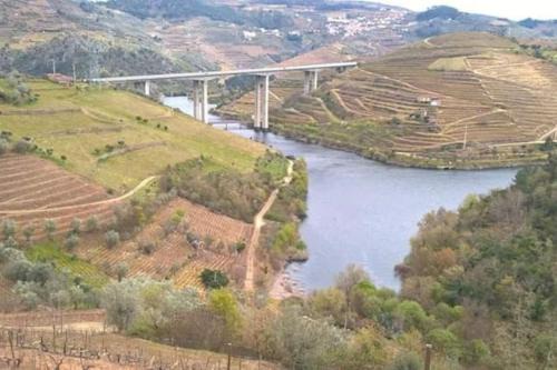 Lamego House | Casa dos Copins