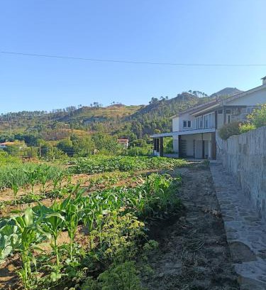 Sao Miguel do Rio Torto House | Casa dos Valentes