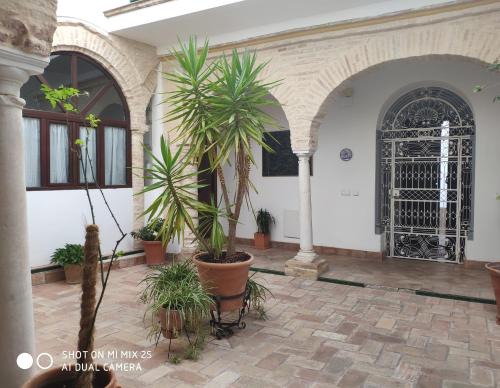 Carmona Apartment | Casa en la Juderia