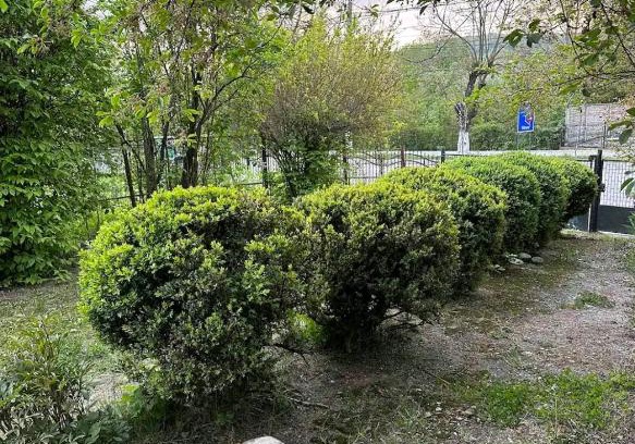Curtea De Arges House | Casa Eroilor