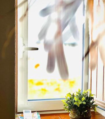 Elvas House | Casa Fidalgo