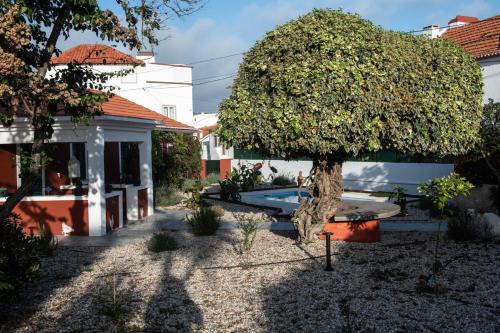Foz do Arelho House | Casa Flamingo