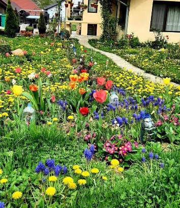 Curtea De Arges Apartment | Casa Florilor
