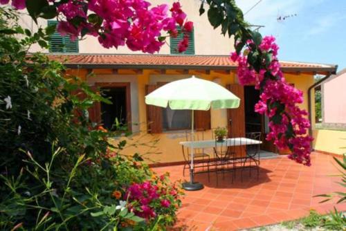 Mongiove House | Casa Gialla