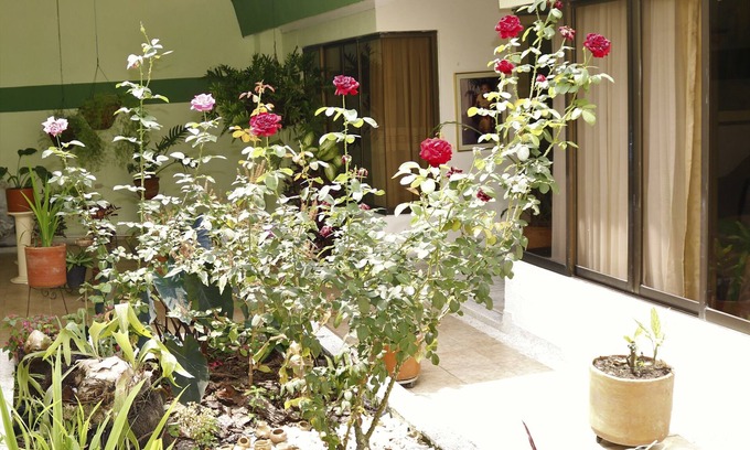 Palmira House | casa hostal las mercedes