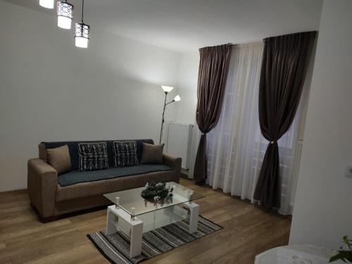 Tirgu Mures Apartment | Casa Ioana