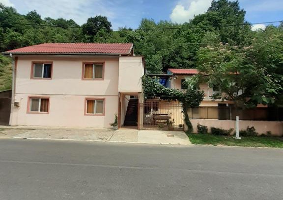 Baile Herculane House | CASA IZA