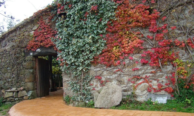 Casavieja House | Casa la Salamanquesa in the heart of the Tietar Valley.