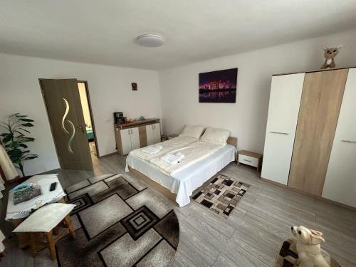 Sighisoara House | Casa Lenu & Lian