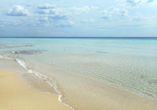 Punta Prosciutto House | Casa Lido degli Angeli a 120m dal mare